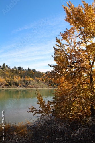 Autumn On The Riverbank, William Hawrelak Park, Edmonton, Alberta