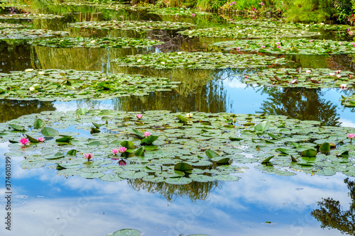 Fototapeta Monet's Pond at Giverny with water lilies and clouds reflection in summer - Give