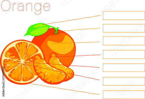 Orange fruit component, Fill in the blank, Concept of food education. Vector illustration.
