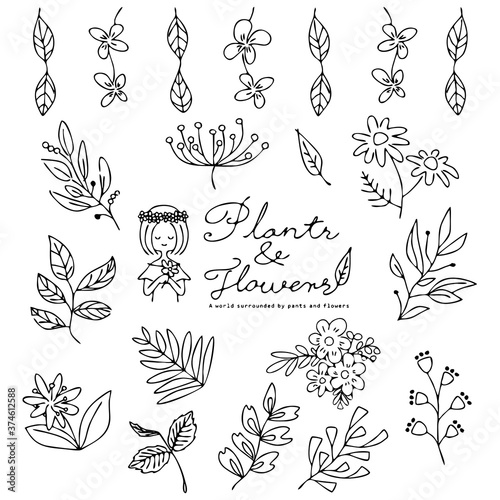 植物　手描き　セット