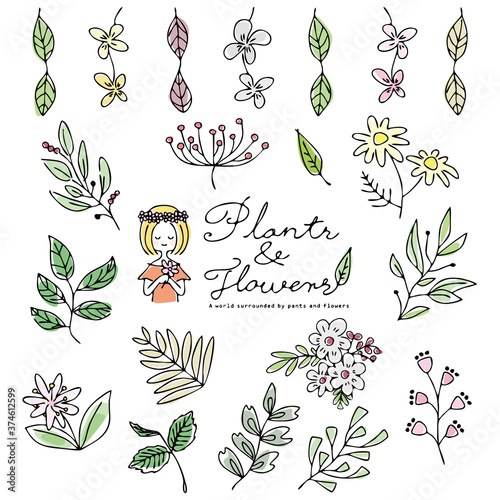 植物　手描き　セット