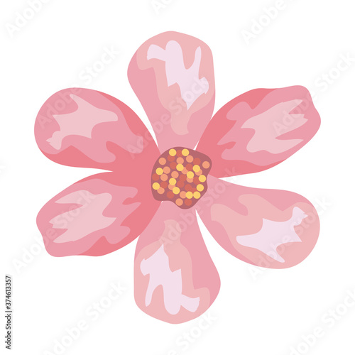 pink flower drawing design, natural floral nature plant ornament garden decoration and botany theme Vector illustration