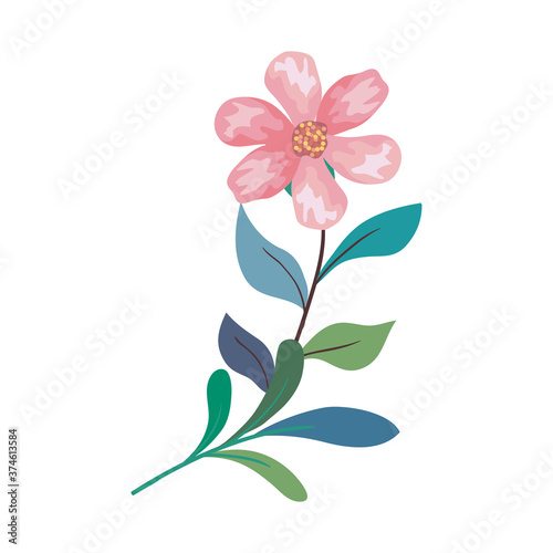 Fototapeta Naklejka Na Ścianę i Meble -  pink flower drawing with leaves design, natural floral nature plant ornament garden decoration and botany theme Vector illustration