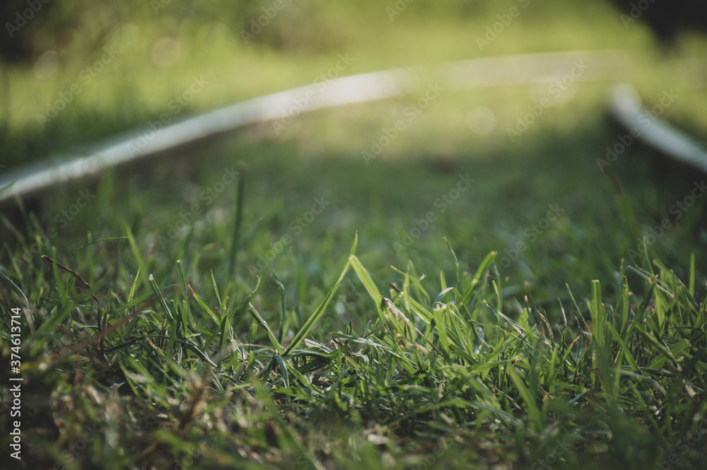 Train tracks with grass and without people