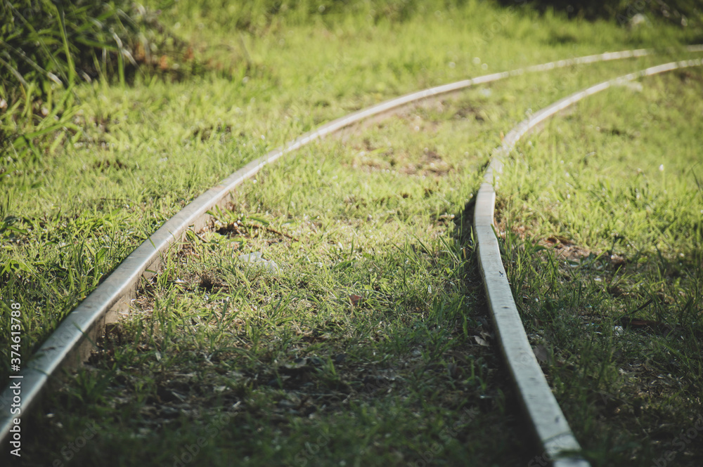 Train tracks with grass and without people