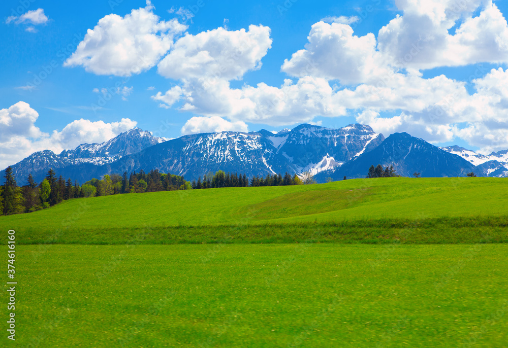 Green meadow and snowy Alps in the spring 