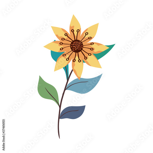 yellow flower with leaves design, natural floral nature plant ornament garden decoration and botany theme Vector illustration