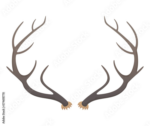 Big deer antlers, vector illustration.