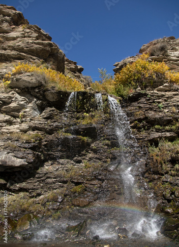 A rainbow is formed due to tiny water droplets from a waterfall on a sunny day with clear sky and yellow bush within rocks.