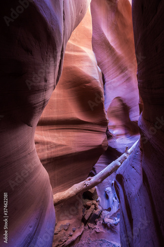 Фотография A Slot canyon in the robbers roost area of Utah.