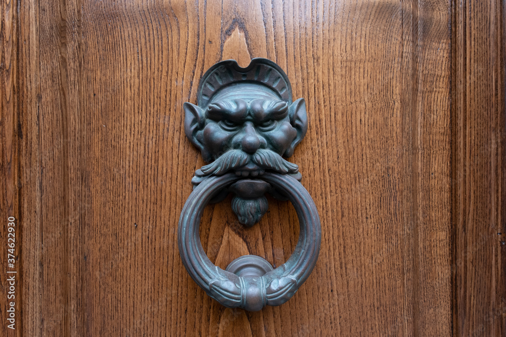 Metal knobs with decorative elements on a wooden door