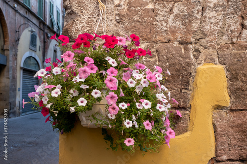 Beautiful view of scenic narrow alley with historic traditional houses and cobbled street in an old town