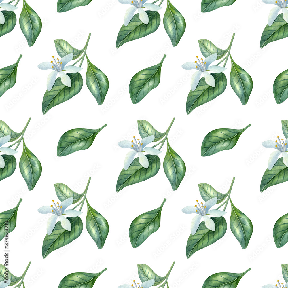 Naklejka premium Watercolor seamless pattern with citrus flowers and leaves on the light background. Bright cartoon hand-painted illustration.