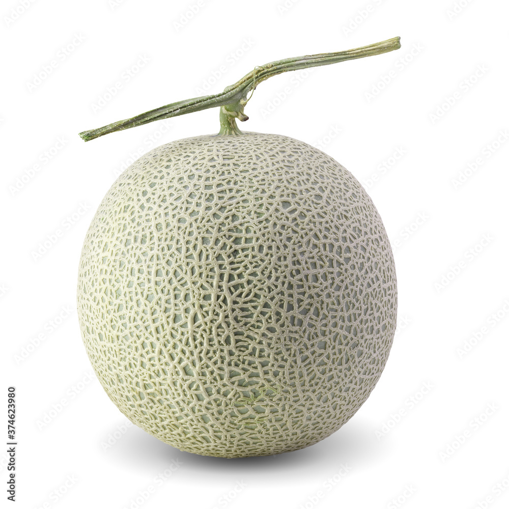 Cantaloupe Melons isolated on white background with clipping path Cantaloupe Melons isolated on white background with clipping path