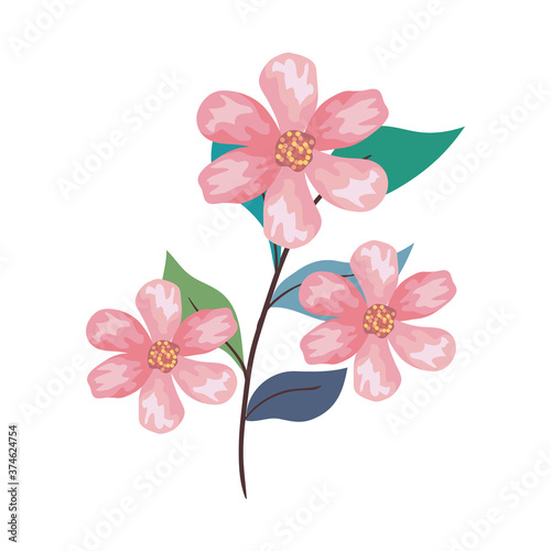 pink flowers drawing with leaves design, natural floral nature plant ornament garden decoration and botany theme Vector illustration