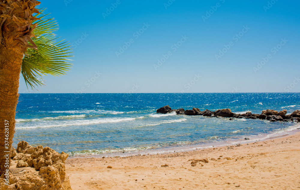 
sun-drenched beautiful Red Sea coastline with swaying palm branches, yellow sand and blue water