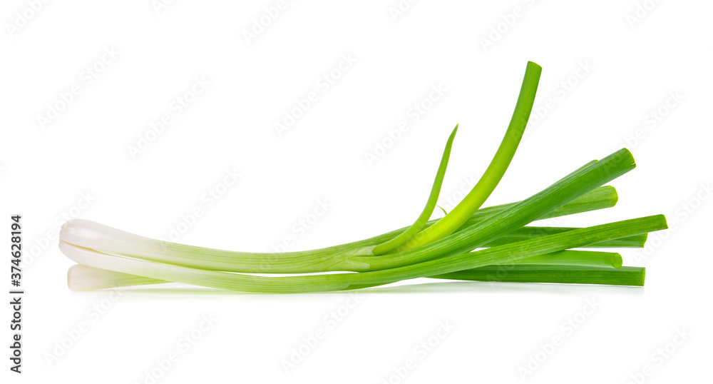 Green onion isolated on the white background Green onion isolated on the white background