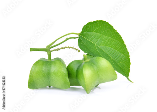 Sacha inchi peanut isolated on white background photo