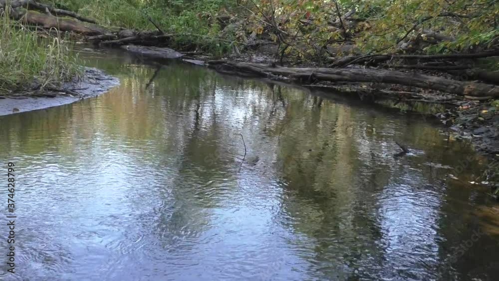 A small forest river. Beaver dam on a stream in the woods. Reflection of the sky in the water. Indian summer. Walking in the autumn forest. A small forest river. Beaver dam on a stream in the woods. Reflection of the sky in the water. Indian summer. Walking in the autumn forest.