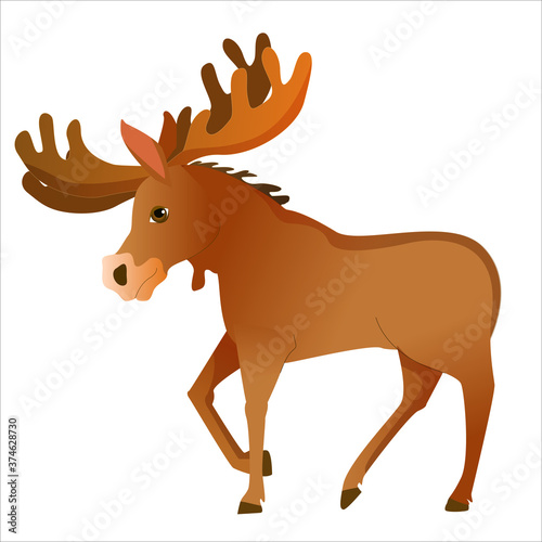 Wild brown moose drawn in cartoon style. Elk. Vector illustration isolated on white background