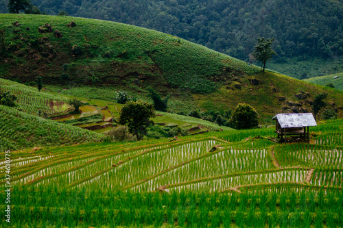 rice terrace landscape on high hill