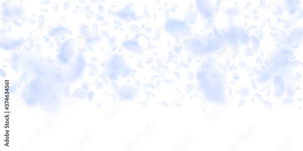 Light blue flower petals falling down. Adorable ro