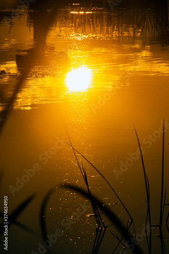 Delta, Danube, Black Sea, Orange, Sunset, Sunrise, Lake, Water