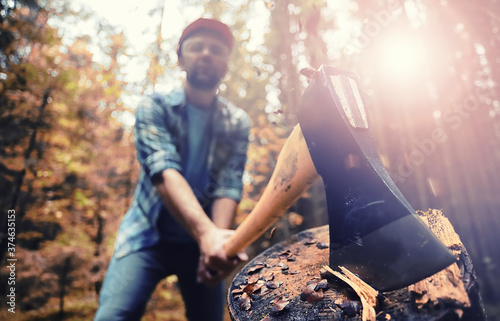 Male worker with an ax chopping a tree in the forest. photo