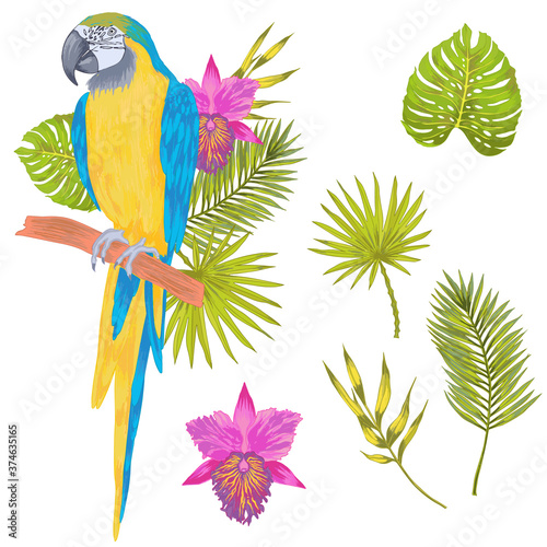 Vector with watercolor effect parrot macaw sitting on a branch with tropical leaves and flower