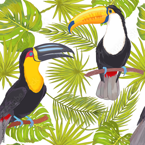 Vector with watercolor effect tropical toucan birds with orchid flowers,  philodendron areca palm, fan palm seamless pattern. 
