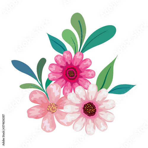 pink flowers drawing with leaves design, natural floral nature plant ornament garden decoration and botany theme Vector illustration