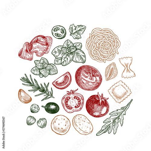 Engraved  basil, tomato, olive, garlic, meat and pasta linear elements. Italian ingredients. 