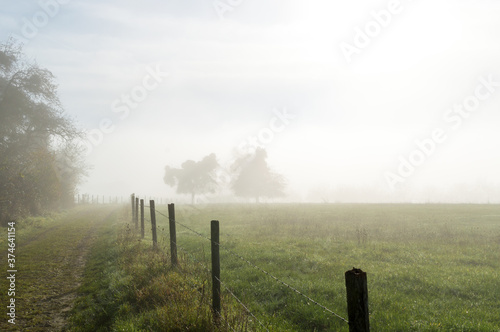 bright sun light through morning mist on meadow © Andreas