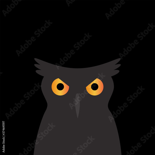 Fototapeta Naklejka Na Ścianę i Meble -  Owl Eyes in The Dark - Vector illustretion