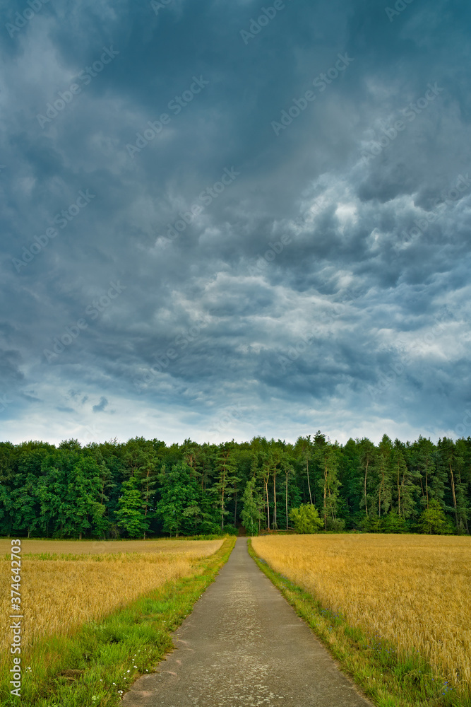 Obraz premium Country Road in The Field