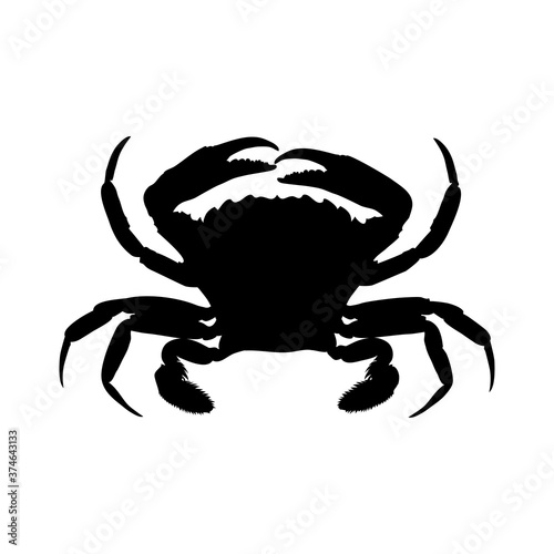 Concepto vida marina. Marisco. Icono silueta cangrejo en color negro