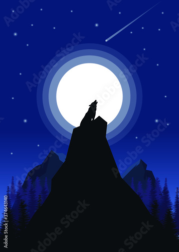 wolf howling at the moon landscape
