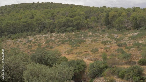 A hill with lush vegetation in the town of Dol, island of Brac, Croatia.
