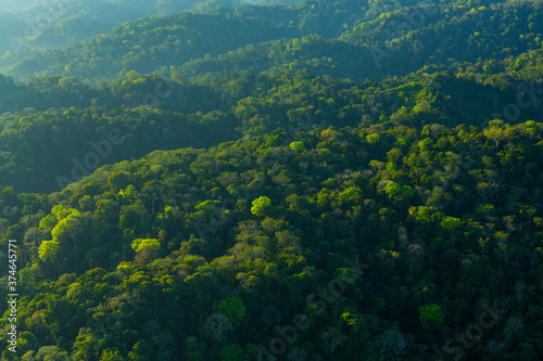 Corcovado National Park, Osa Peninsula, Puntarenas Province, Costa Rica, Central America, America