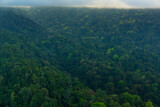 Corcovado National Park, Osa Peninsula, Puntarenas Province, Costa Rica, Central America, America