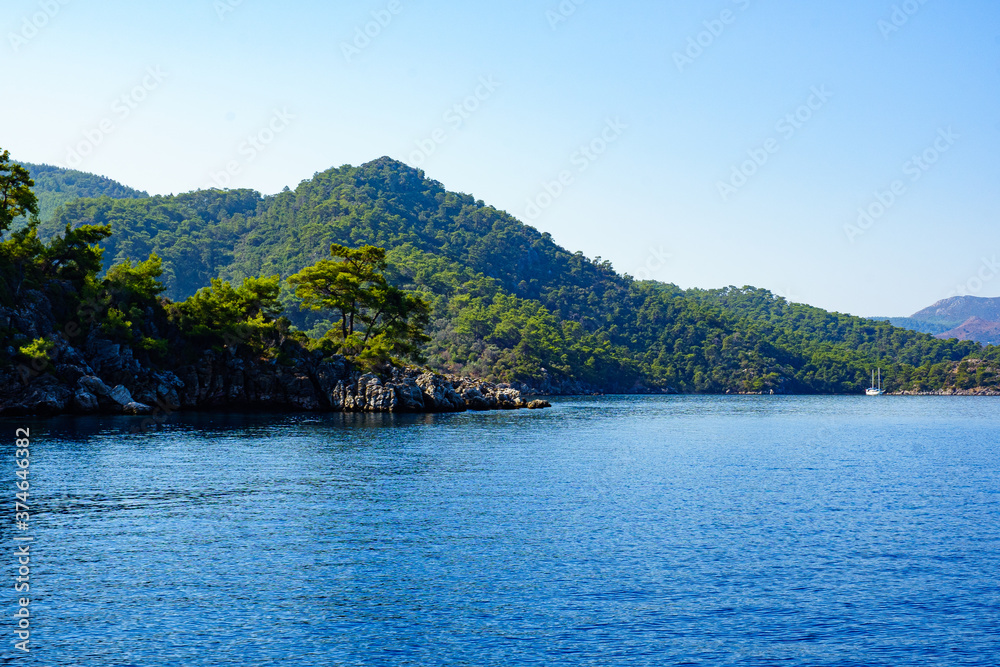 rocky island with trees among the blue sea