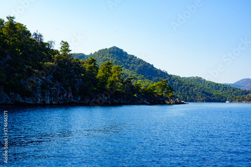 rocky island with trees among the blue sea