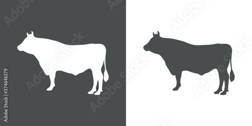 Animales de granja. Silueta de toro de raza guernsey en fondo gris y fondo blanco