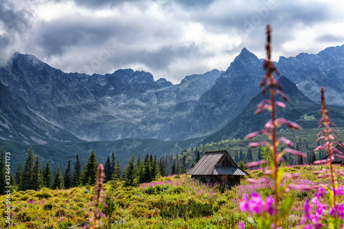 Fototapeta Naklejka Na Ścianę i Meble -  Tatra Mountains in Poland