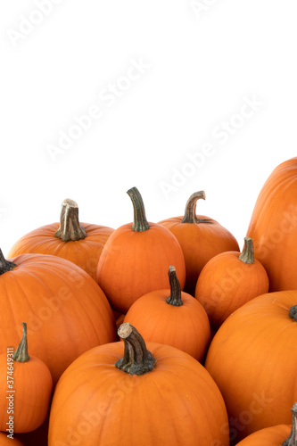 Heap of orange pumpkins