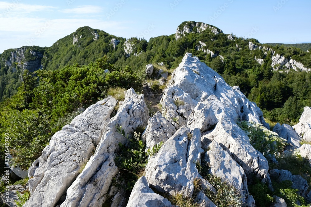 Mountain view in beautiful National Park Risnjak, Croatia