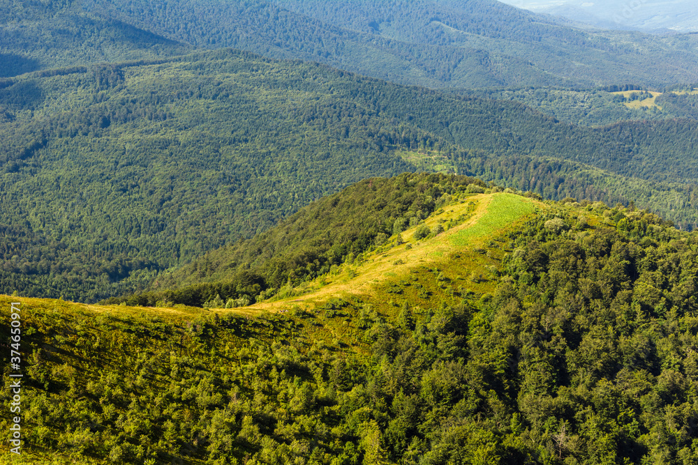 Traveling by the Carpathians. Polonyna Runa, Gostra, and other peaks. Spring, Summer and Autumn rest in the Carpathians. Green, Blue colors. Forest and meadows.