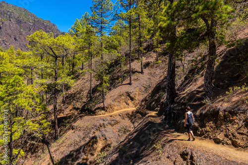 A young woman on the beautiful trekking trail of La Cumbrecita on the island of La Palma next to the Caldera de Taburiente, Canary Islands. Spain photo