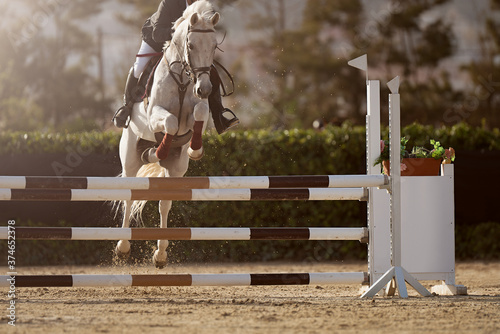 Sport horse jumping over a barrier on a obstacle course