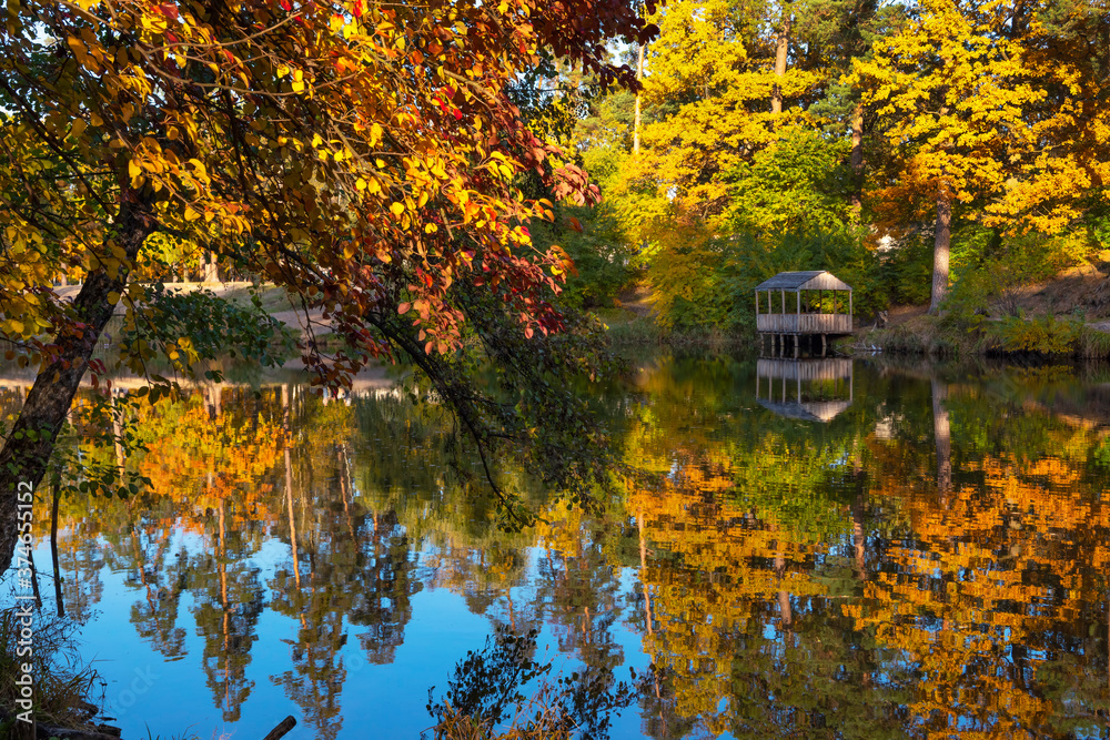 Beautiful  landscape with reflection of trees in a forest lake. Bright yellow and orange fall foliage trees reflected in water. Autumn natural background, most wonderful places in a world.
